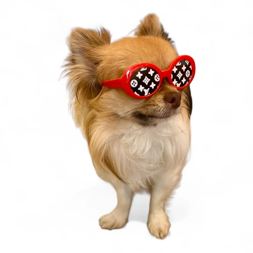 GUCCI pink dog sunglasses