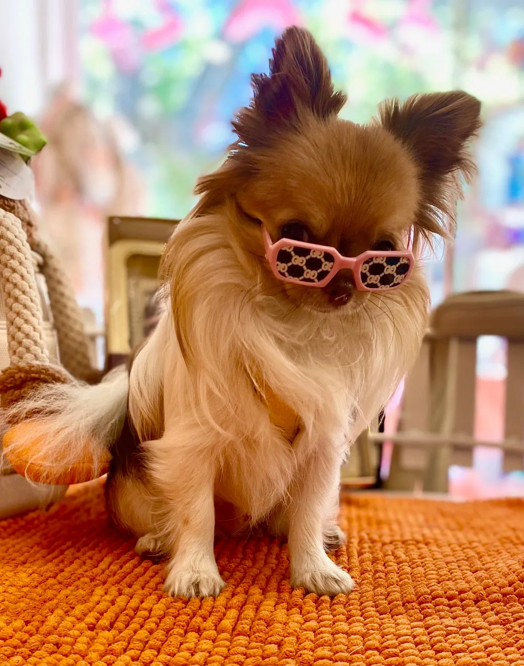 GUCCI pink dog sunglasses