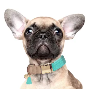 kaya collar - turquoise