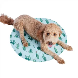round aqua cactus ice mat - 2 sizes