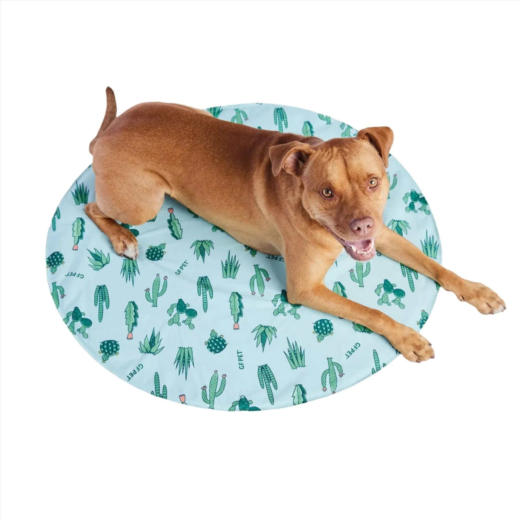 round aqua cactus ice mat - 2 sizes