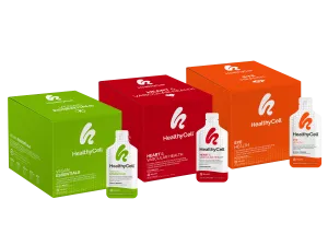 Vegan Favorites Bundle